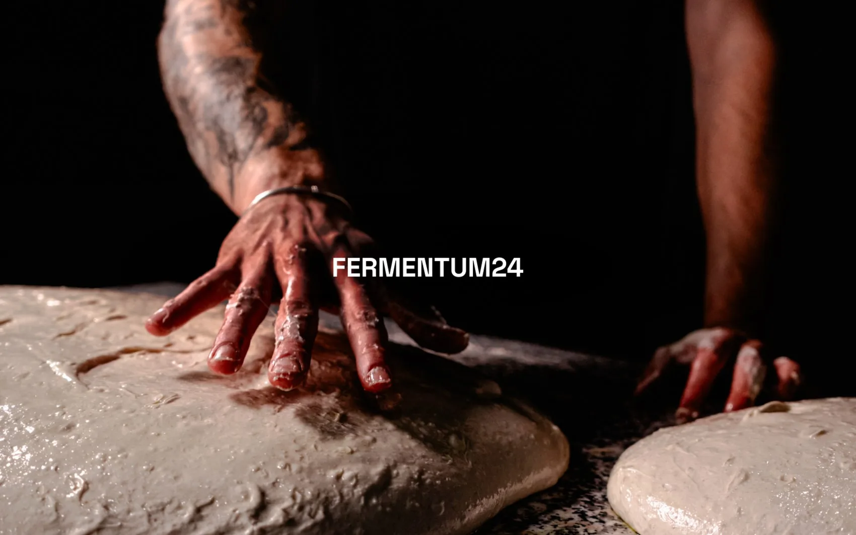 Fermentum